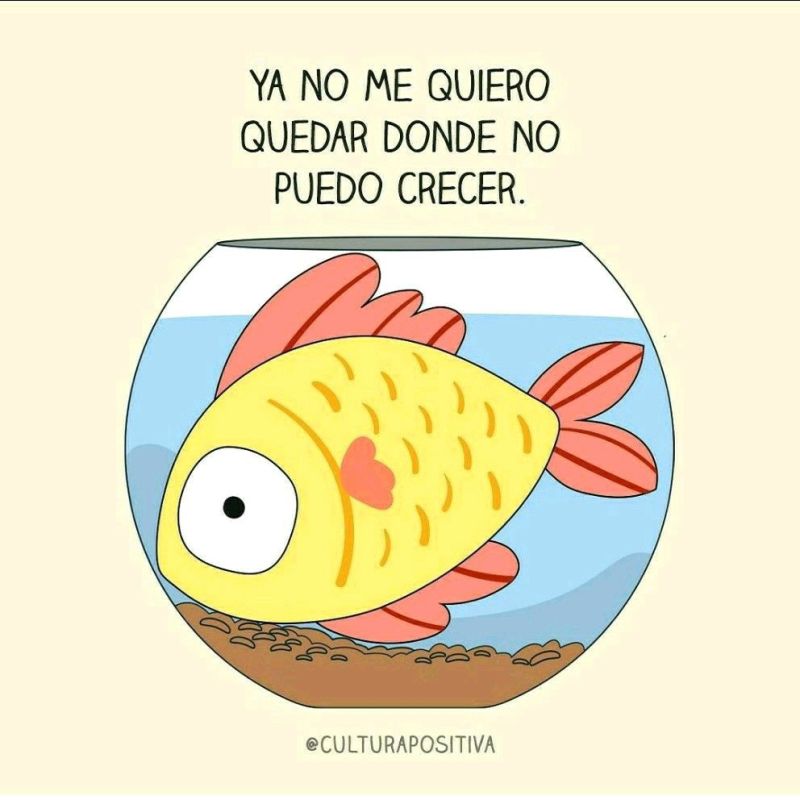 ya no me quiero quedar donde no puedo crecer